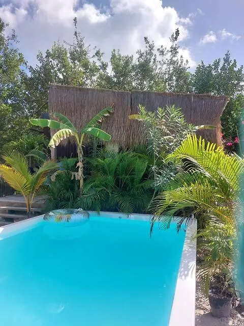 Polita Tiny House, Con Piscina, A 200M De La Playa Villa Isla Holbox